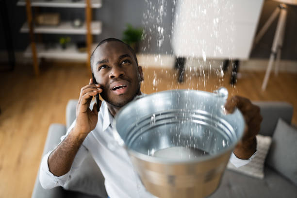 Best Water damage restoration services  in Brownsville, PA