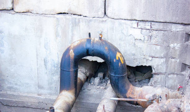 Best Water damage restoration mold remediation  in Brownsville, PA