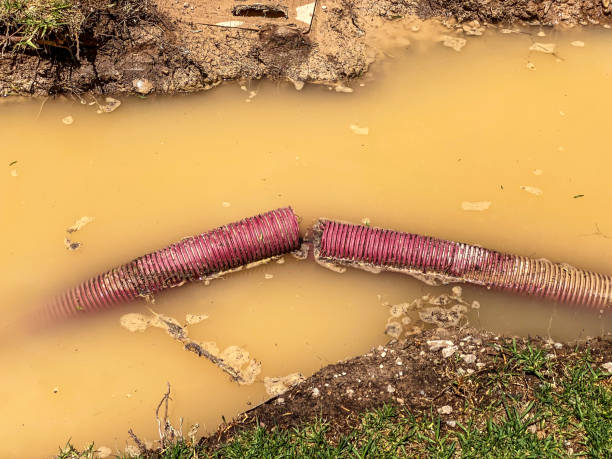  Brownsville, PA Water damage restoration Pros